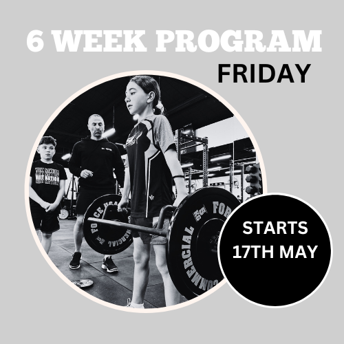 6 Week Development Program Friday